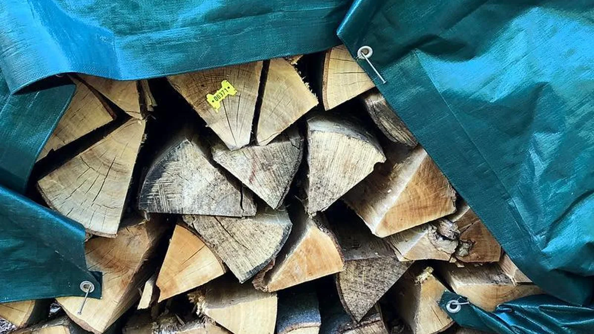 孩子睡前总担心,家长怎样陪?相关心理健康场景
