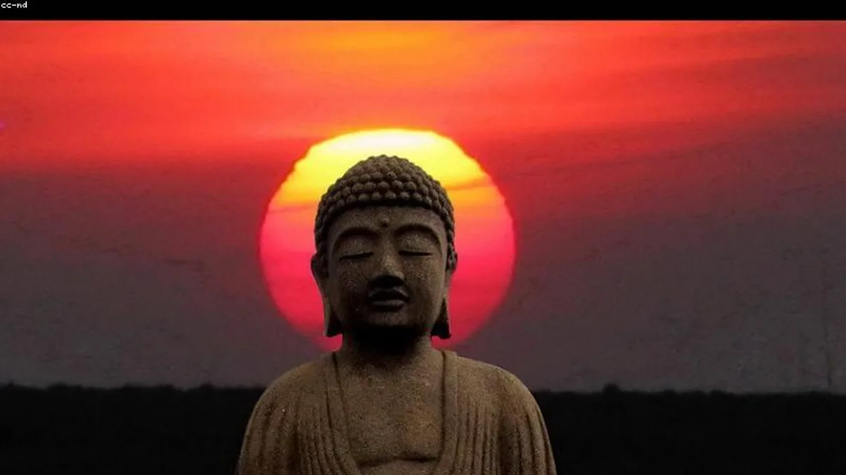 睡不着的时候,不必和睡眠较劲相关心理健康场景