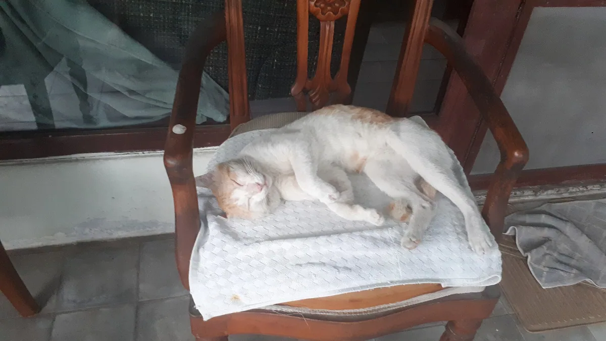 晨间启动困难,睡眠与精力中的日常调整场景