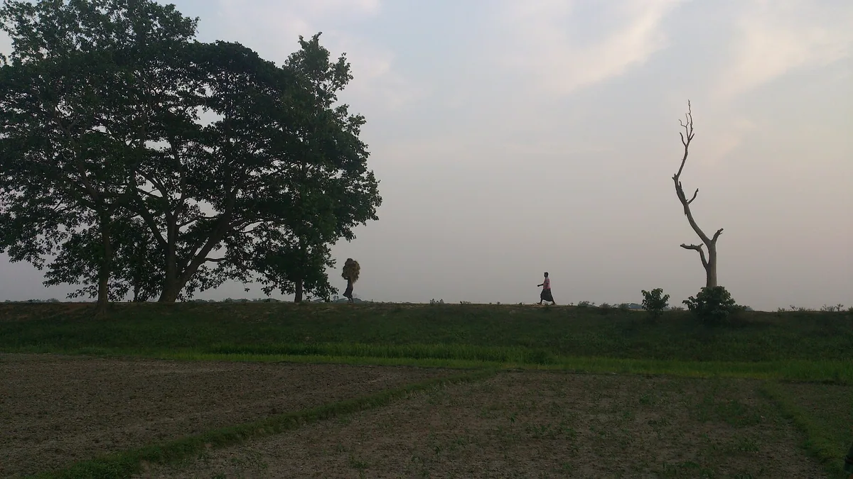 人生变化,心理支持,成就后空虚中的日常调整场景