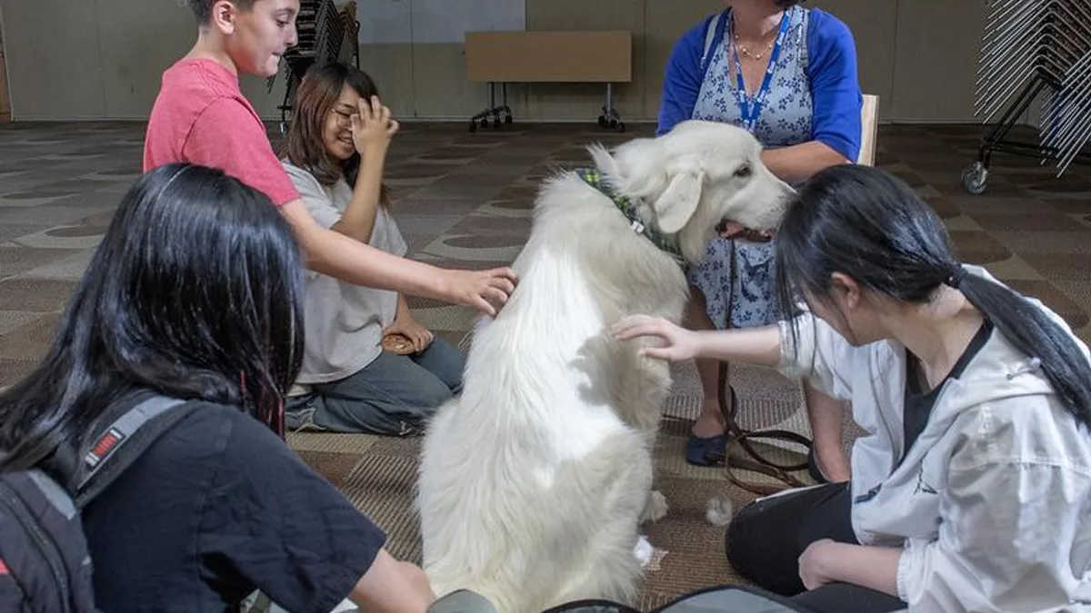 项目永远没做完的愧疚:区分拖延与完美主义的压力源相关心理健康场景
