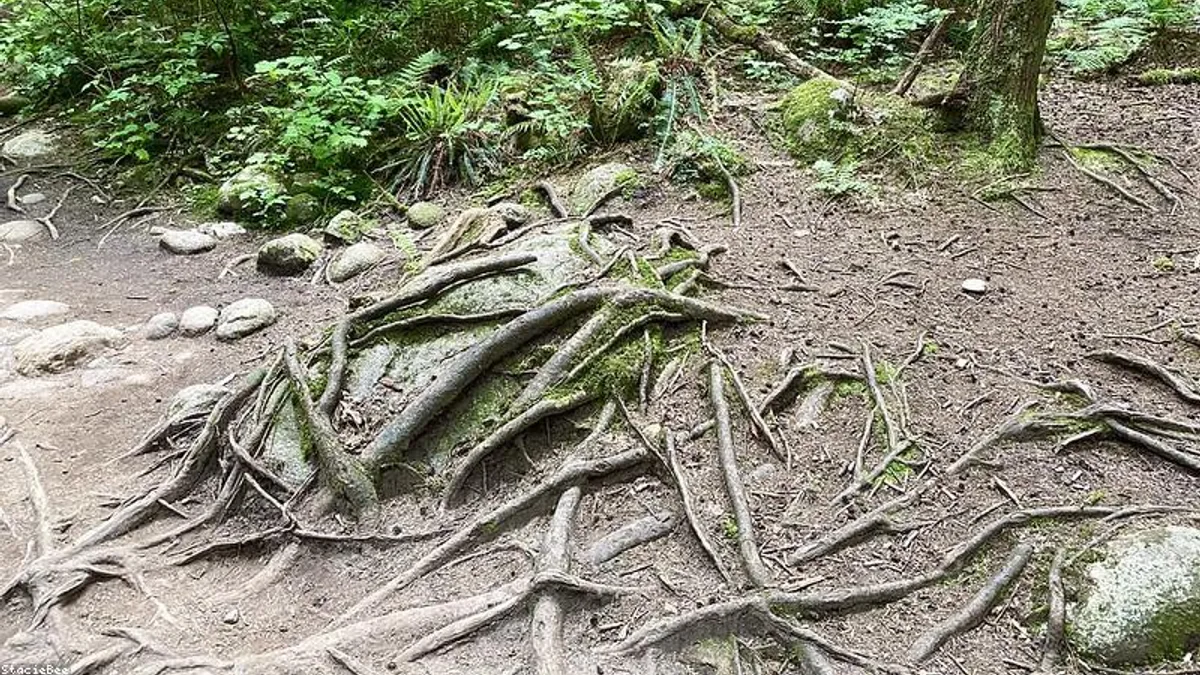 截止前心跳加速:从‘恐慌模式’切换到‘微小步骤’的生理调节法相关心理健康场景