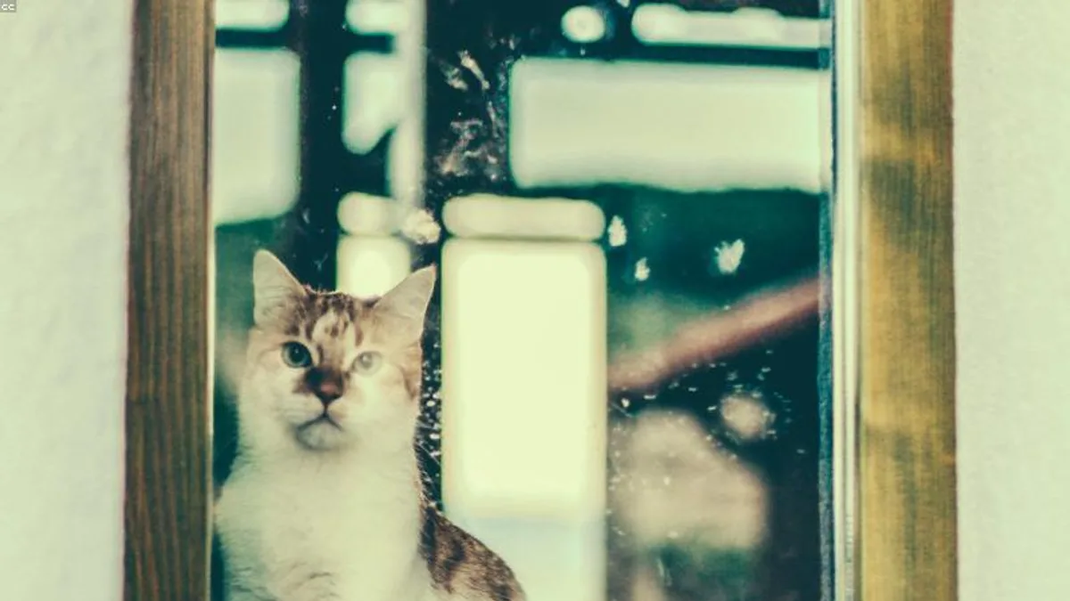 从没收手机到共同约定:重建亲子数字边界相关心理健康场景