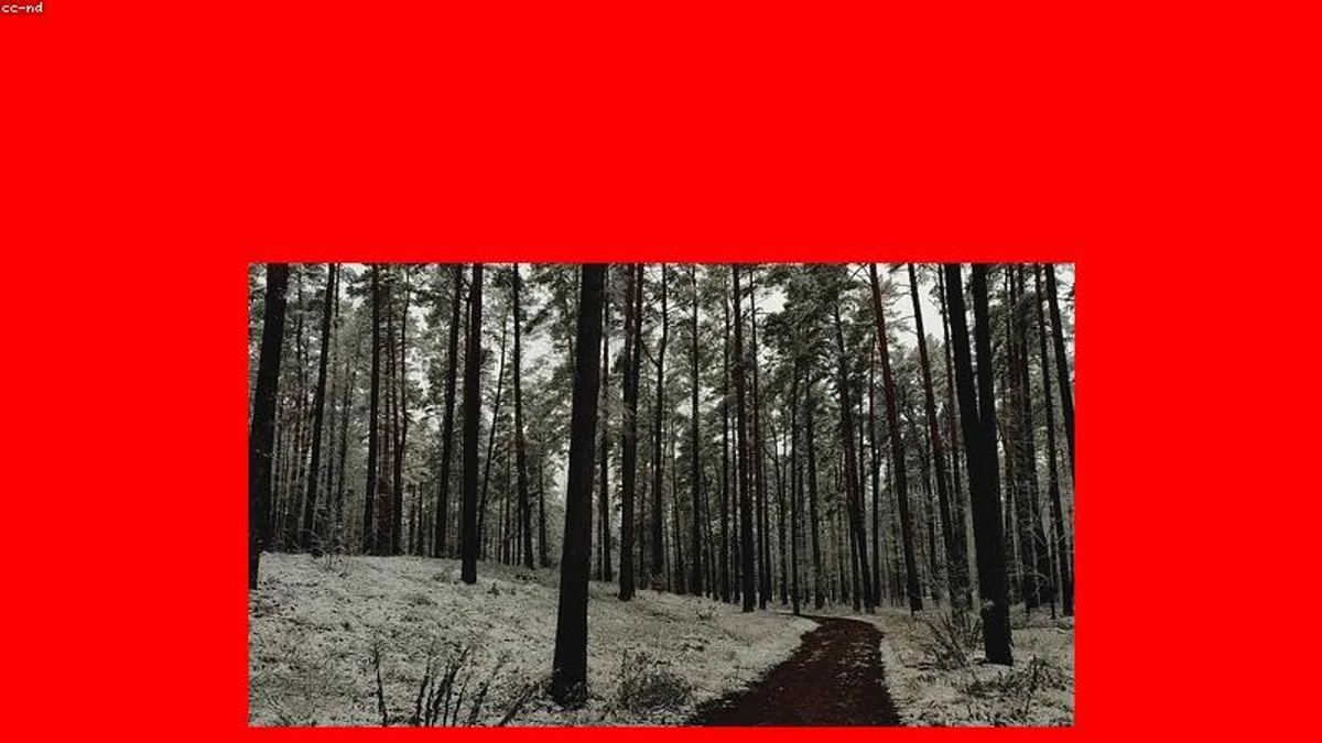 职场动荡心慌?三步建立内心可控锚点相关心理健康场景